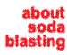 About Soda Blasting